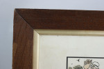 Antique Fox Hunting Print, Cecil Aldin , Admiration