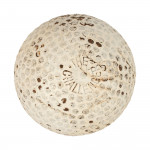 The Challenger Golf Ball