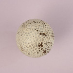 The Challenger Golf Ball