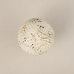The Challenger Golf Ball