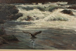 Signed Douglas Adams Original Oil On Canvas