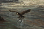 Signed Douglas Adams Original Oil On Canvas