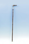 Walking Stick Horse Measure, Pentillie Castle