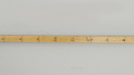 Walking Stick Horse Measure, Pentillie Castle