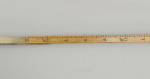 Walking Stick Horse Measure, Pentillie Castle