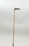 Walking Stick Horse Measure, Pentillie Castle