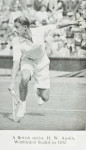 Hazel Blue Star Tennis Racket