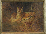 William Woodhouse - Tigers