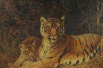 William Woodhouse - Tigers