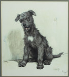 Gentleman Of Character By Cecil Aldin