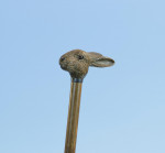 Antique Walking Stick with Hare Handle