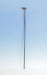 Antique Walking Stick with Hare Handle
