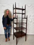 Regency large mahogany Whatnot