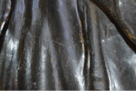 Bronzed plaster bust of John Locke