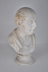 English plaster library busts of a gentleman
