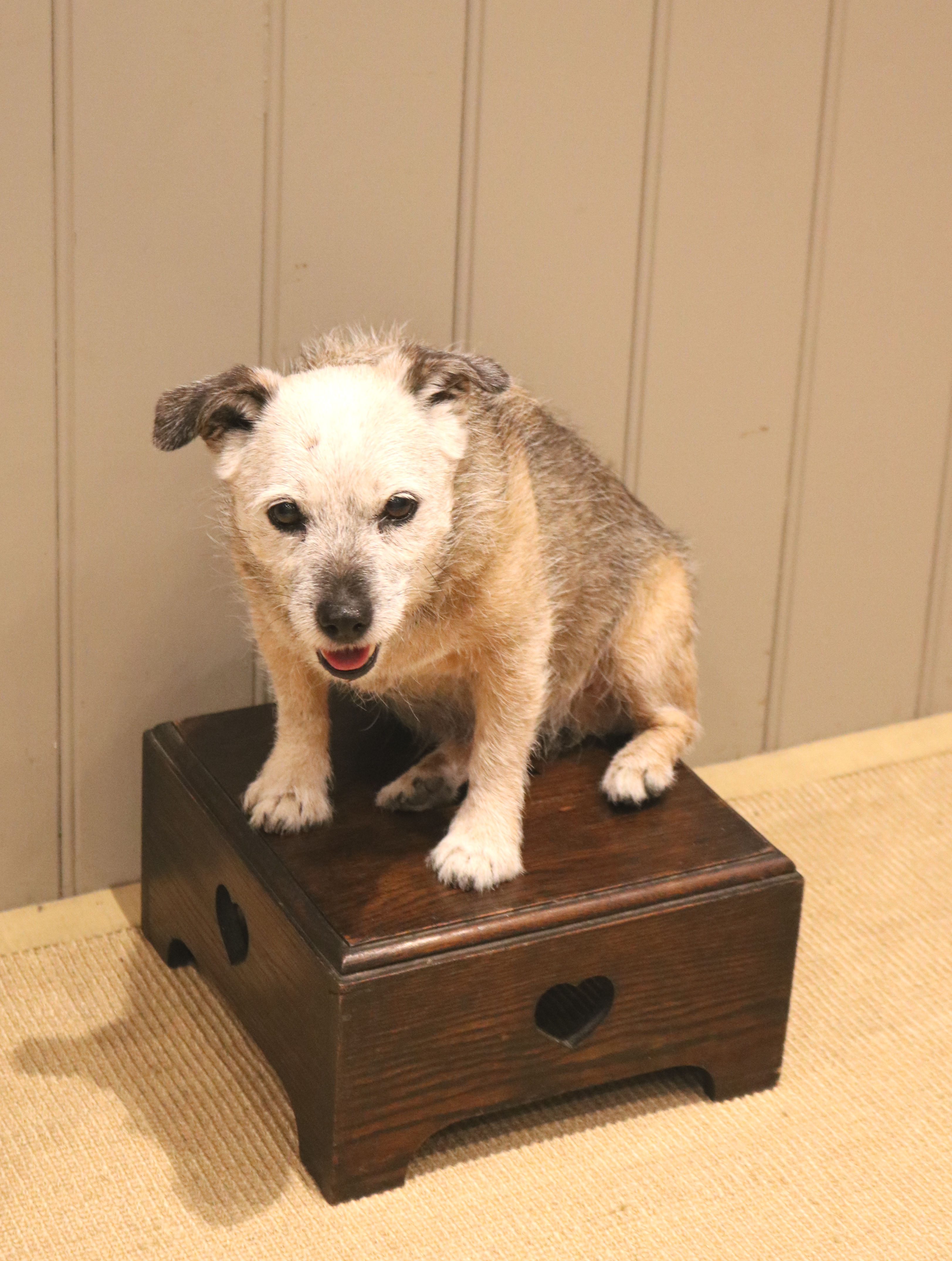 WORBOYS ANTIQUES & CLOCKS
